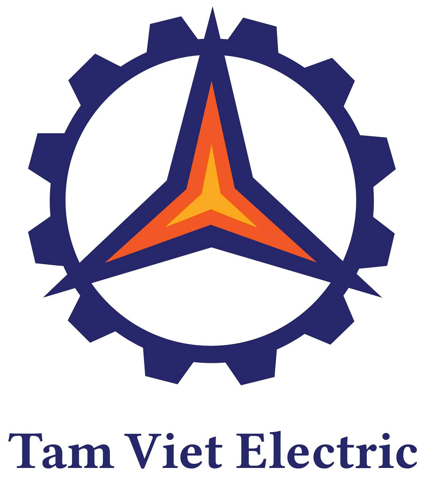 TAM VIET ELECTRIC